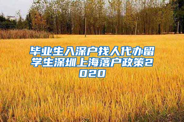 毕业生入深户找人代办留学生深圳上海落户政策2020