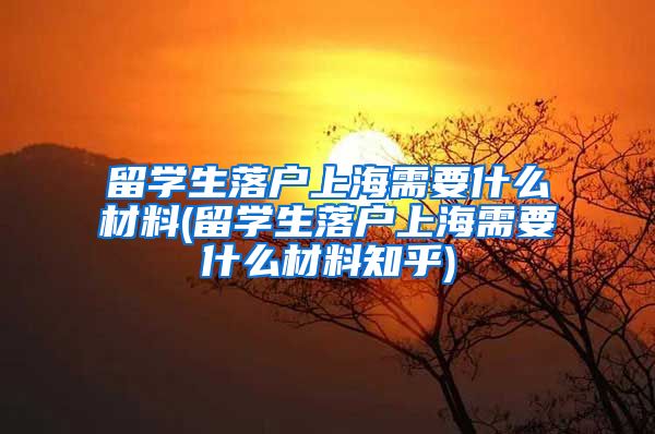 留学生落户上海需要什么材料(留学生落户上海需要什么材料知乎)