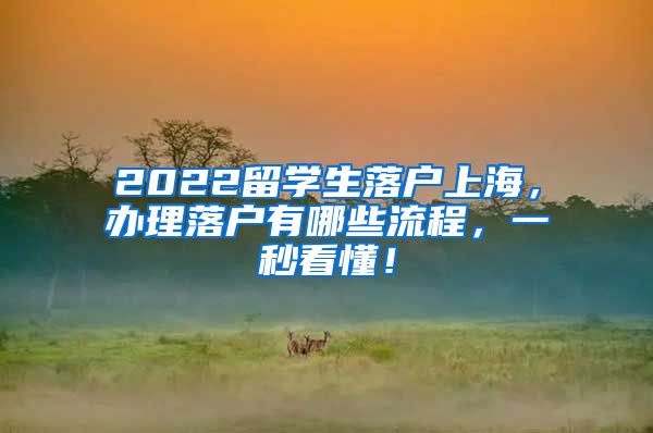 2022留学生落户上海，办理落户有哪些流程，一秒看懂！