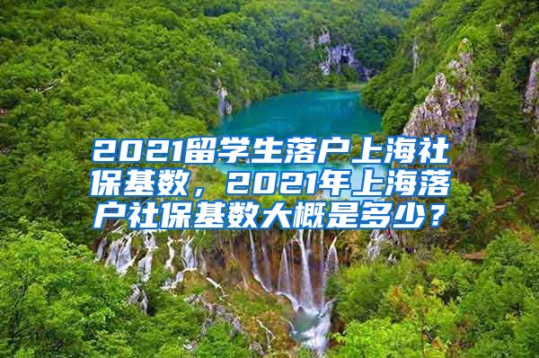 2021留学生落户上海社保基数，2021年上海落户社保基数大概是多少？