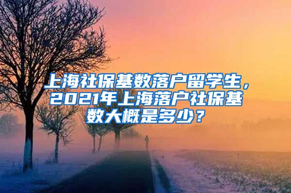 上海社保基数落户留学生，2021年上海落户社保基数大概是多少？