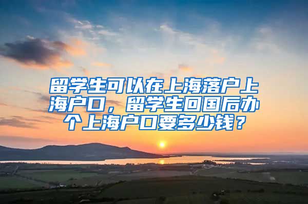 留学生可以在上海落户上海户口，留学生回国后办个上海户口要多少钱？