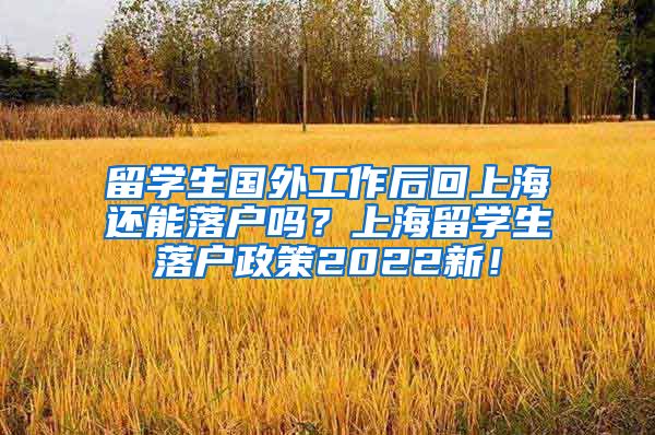 留学生国外工作后回上海还能落户吗？上海留学生落户政策2022新！