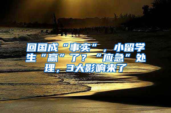 回国成“事实”，小留学生“赢”了？“应急”处理，3大影响来了