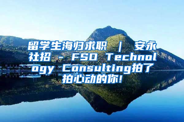 留学生海归求职 ｜ 安永社招 - FSO Technology Consulting拍了拍心动的你!