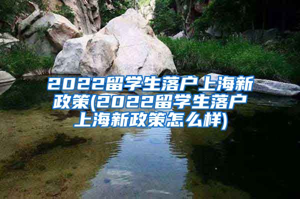 2022留学生落户上海新政策(2022留学生落户上海新政策怎么样)