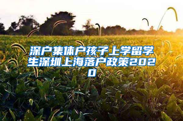 深户集体户孩子上学留学生深圳上海落户政策2020