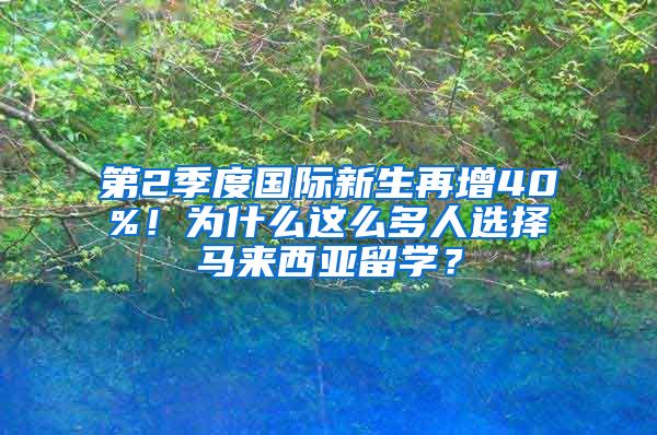 第2季度国际新生再增40%！为什么这么多人选择马来西亚留学？