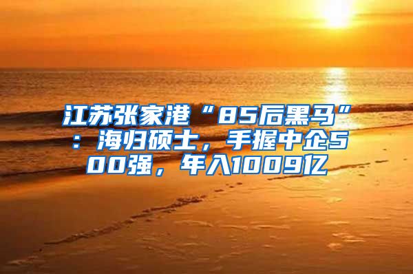 江苏张家港“85后黑马”：海归硕士，手握中企500强，年入1009亿