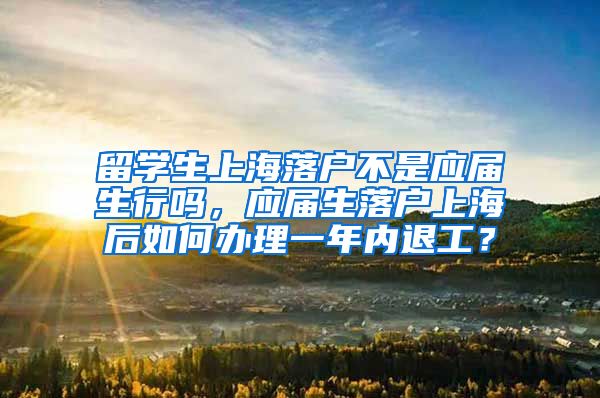 留学生上海落户不是应届生行吗，应届生落户上海后如何办理一年内退工？