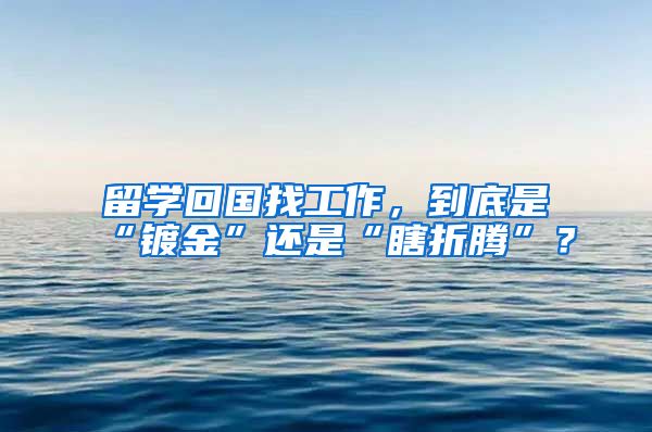 留学回国找工作，到底是“镀金”还是“瞎折腾”？