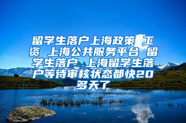 留学生落户上海政策 工资 上海公共服务平台 留学生落户 上海留学生落户等待审核状态都快20多天了