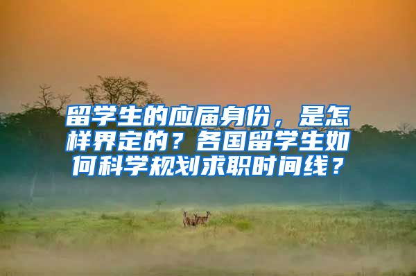 留学生的应届身份，是怎样界定的？各国留学生如何科学规划求职时间线？