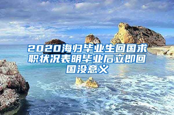 2020海归毕业生回国求职状况表明毕业后立即回国没意义