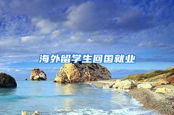 海外留学生回国就业