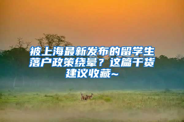 被上海最新发布的留学生落户政策绕晕？这篇干货建议收藏~