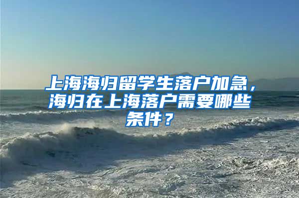 上海海归留学生落户加急，海归在上海落户需要哪些条件？