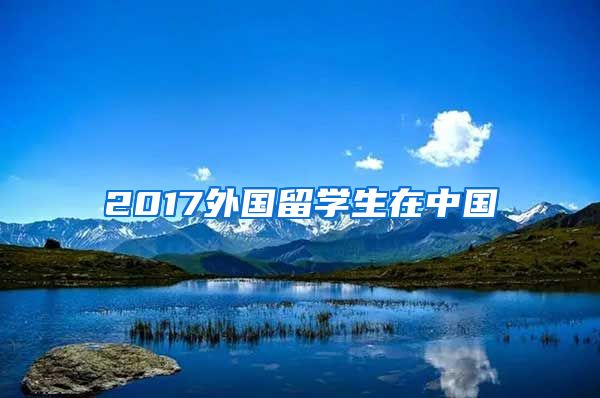 2017外国留学生在中国