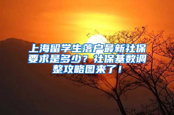 上海留学生落户最新社保要求是多少？社保基数调整攻略图来了！