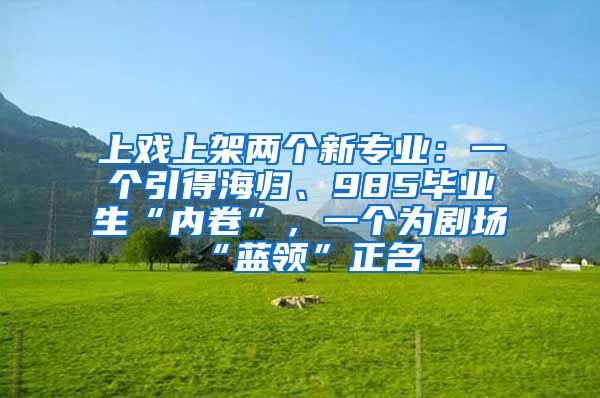 上戏上架两个新专业：一个引得海归、985毕业生“内卷”，一个为剧场“蓝领”正名