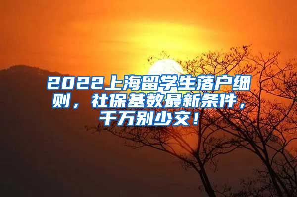 2022上海留学生落户细则，社保基数最新条件，千万别少交！