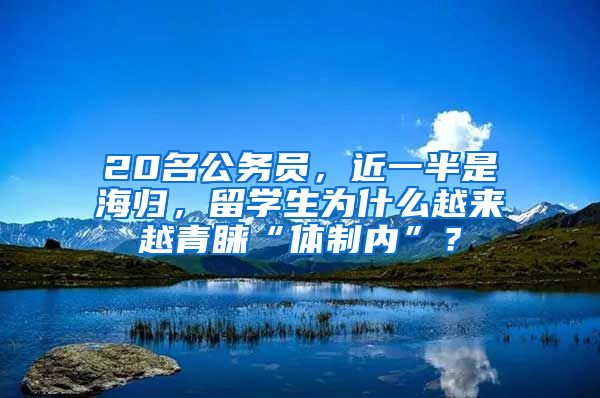 20名公务员，近一半是海归，留学生为什么越来越青睐“体制内”？