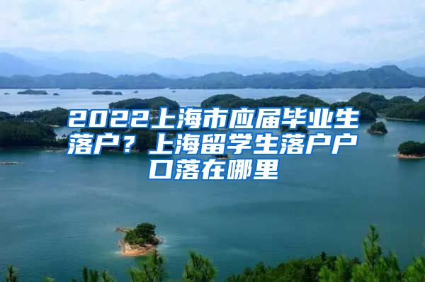 2022上海市应届毕业生落户？上海留学生落户户口落在哪里