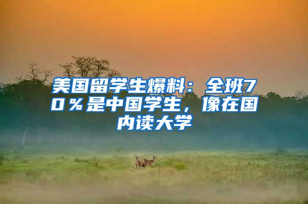 美国留学生爆料：全班70％是中国学生，像在国内读大学