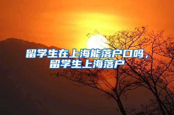 留学生在上海能落户口吗，留学生上海落户