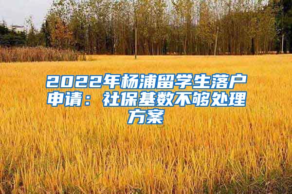 2022年杨浦留学生落户申请：社保基数不够处理方案