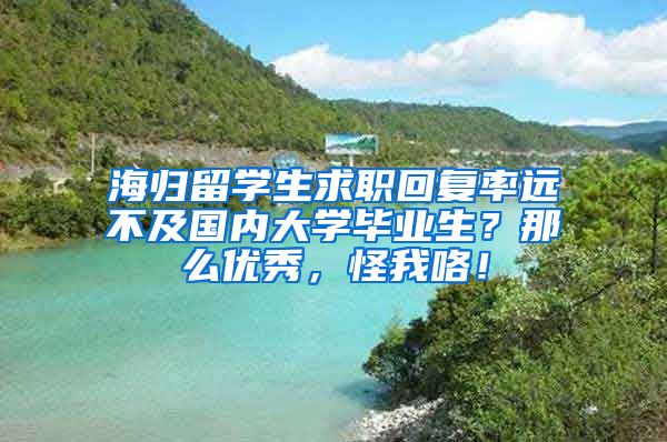 海归留学生求职回复率远不及国内大学毕业生？那么优秀，怪我咯！