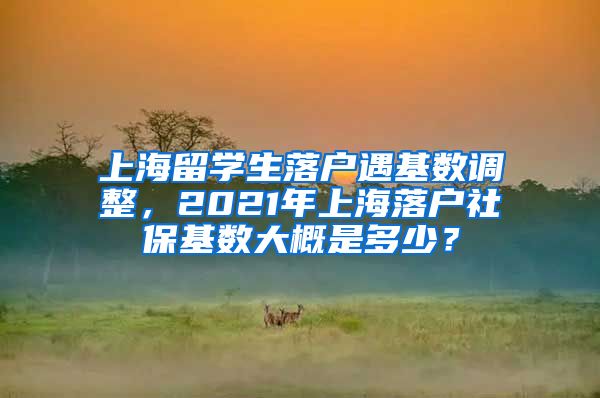 上海留学生落户遇基数调整，2021年上海落户社保基数大概是多少？