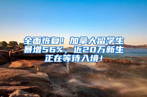 全面恢复！加拿大留学生暴增56%，近20万新生正在等待入境！