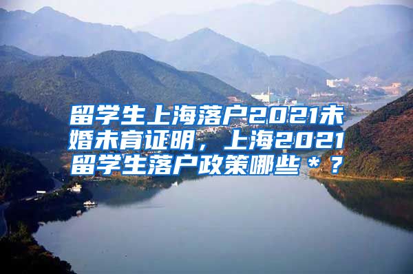 留学生上海落户2021未婚未育证明，上海2021留学生落户政策哪些＊？