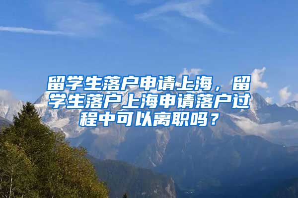 留学生落户申请上海，留学生落户上海申请落户过程中可以离职吗？