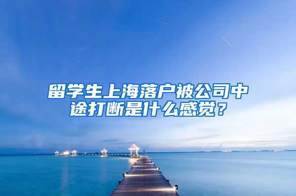 留学生上海落户被公司中途打断是什么感觉？