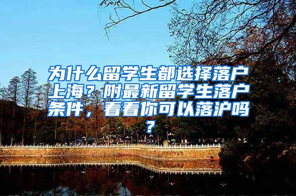 为什么留学生都选择落户上海？附最新留学生落户条件，看看你可以落沪吗？