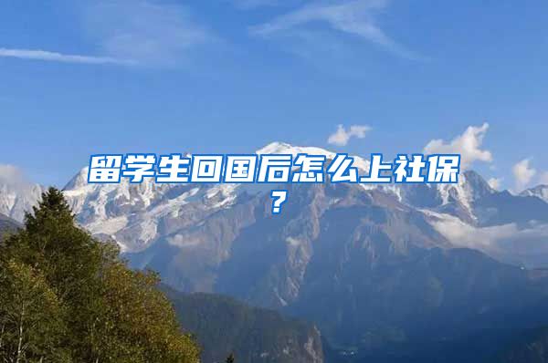 留学生回国后怎么上社保？