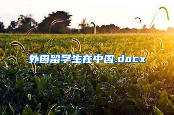 外国留学生在中国.docx