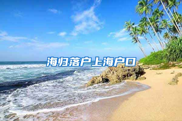 海归落户上海户口