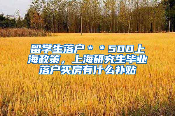 留学生落户＊＊500上海政策，上海研究生毕业落户买房有什么补贴